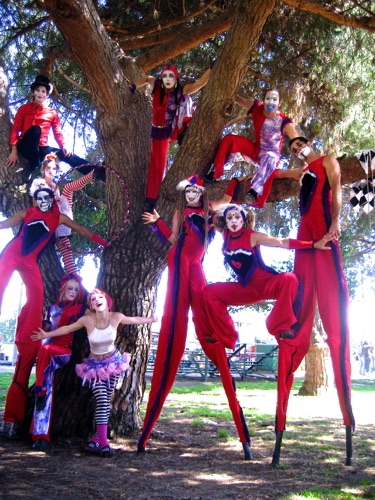 Mar Vista Park
Toy Box Show Mar Vista Park
Toy Box Show